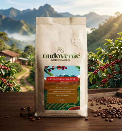 Nudoverde - Veracruz